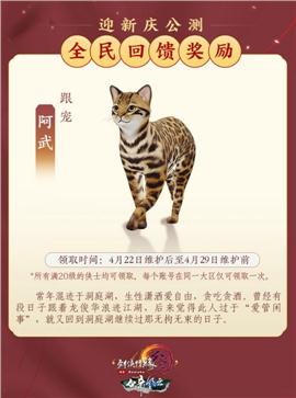 刺客 天龙八部私服